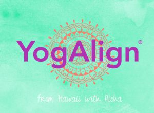 Yogalign-koerper-raum-yoga-kurs-berlin